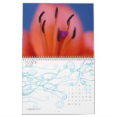 Natuur palet kalender (Mar 2027)