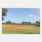 Natuur Papieren papierbladen natuurlijk ompakken Inpakpapier Vel (Voorkant 2)