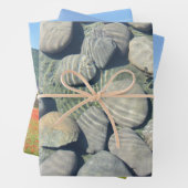 Natuur Papieren papierbladen natuurlijk ompakken Inpakpapier Vel (In situ)