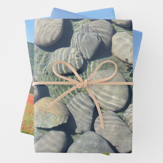 Natuur Papieren papierbladen natuurlijk ompakken Inpakpapier Vel (In situ)