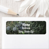 Natuur Pine Tree Berries Foto Robuust adres Etiket (Insitu)