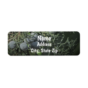 Natuur Pine Tree Berries Foto Robuust adres Etiket