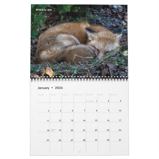 Natuur. Planten en landschap van Dave's Garden Kalender (Jan 2026)