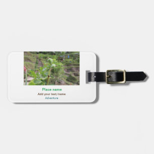 Natuur planten Fotografie Strand Water Reisnaam Bagagelabel