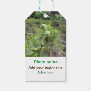 Natuur planten Fotografie Strand Water Reisnaam Cadeaulabel