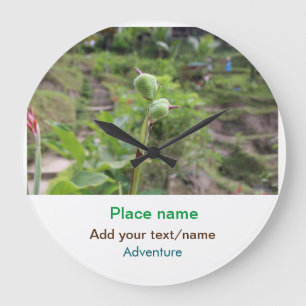 Natuur planten Fotografie Strand Water Reisnaam Grote Klok