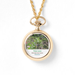 Natuur planten Fotografie Strand Water Reisnaam Horloge