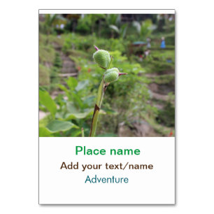 Natuur planten Fotografie Strand Water Reisnaam Kaart