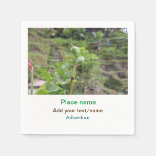 Natuur planten Fotografie Strand Water Reisnaam Servet