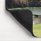 NATUUR: POND EN BOSSEN MUISMAT (Hoek)