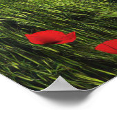 Natuur Poppies veld Poster (Hoek)