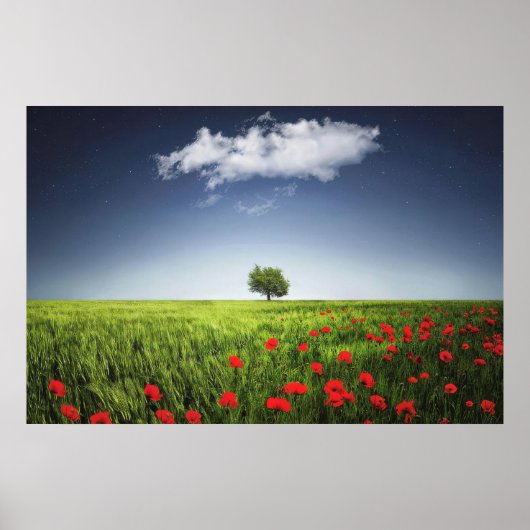 Natuur Poppies veld Poster (Voorkant)