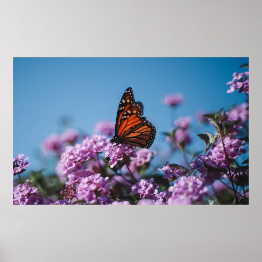 Natuur Poster (Voorkant)