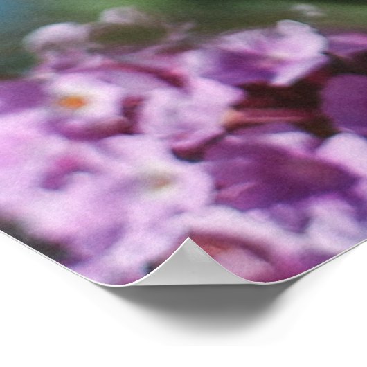 Natuur Poster (Hoek)