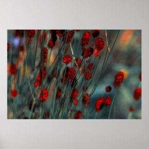 Natuur Poster