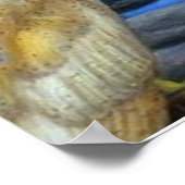 natuur poster (Hoek)