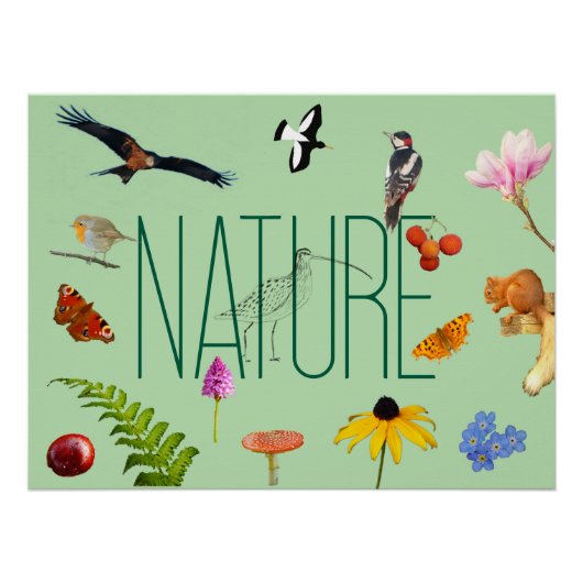 Natuur Poster (Voorkant)
