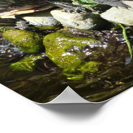 NATUUR POSTER (Hoek)