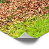 Natuur Poster (Hoek)