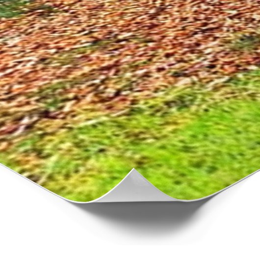 Natuur Poster (Hoek)