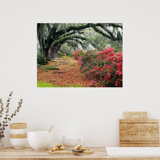 Natuur Poster (Keuken)