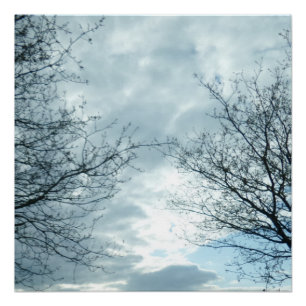 Natuur Poster