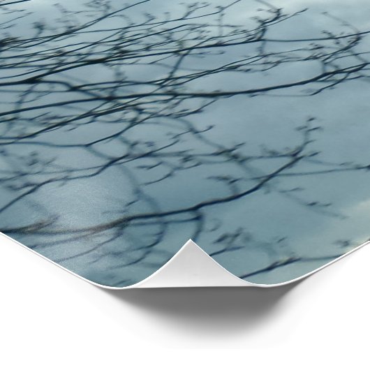 Natuur Poster (Hoek)