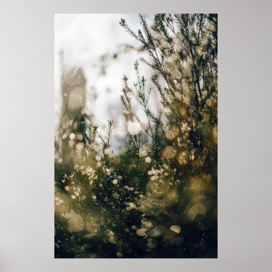 NATUUR POSTER (Voorkant)