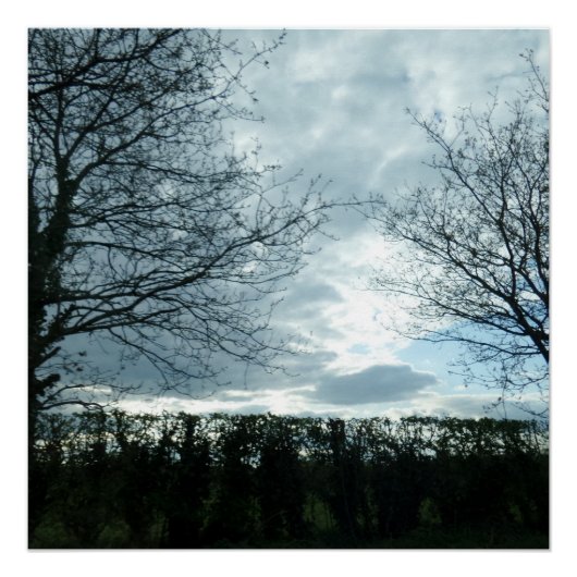 Natuur Poster (Voorkant)