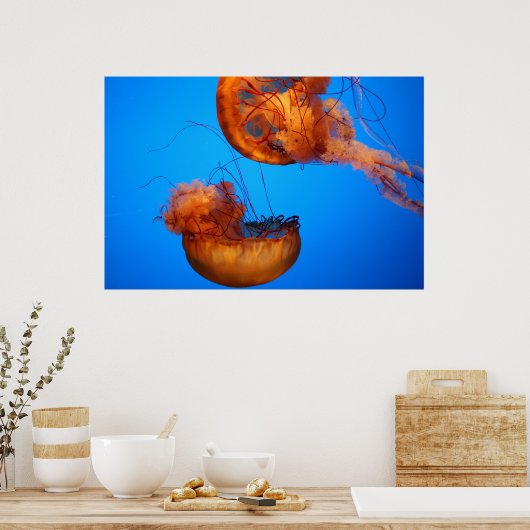 Natuur Poster (Keuken)