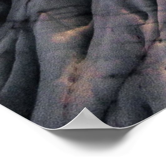 Natuur Poster (Hoek)