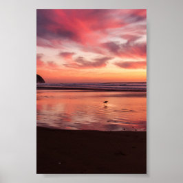 Natuur Poster