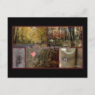 Natuur Poster Northwood Wisconsin Briefkaart
