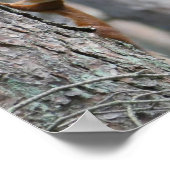 Natuur Poster rode eekhoorn (Hoek)