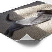 Natuur Poster Slaapend Russisch Blauw (Hoek)