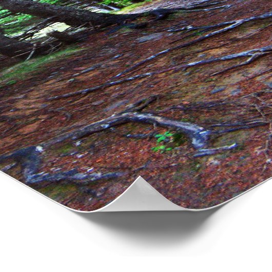 Natuur Poster trappenhuis (Hoek)