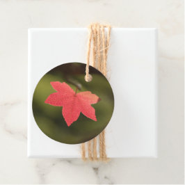 Natuur Red Maple Leaf Foto Bedankjes Labels