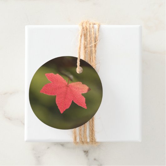 Natuur Red Maple Leaf Foto Bedankjes Labels (In situ)