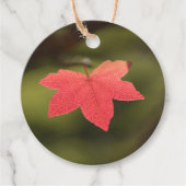 Natuur Red Maple Leaf Foto Bedankjes Labels (Voorkant)