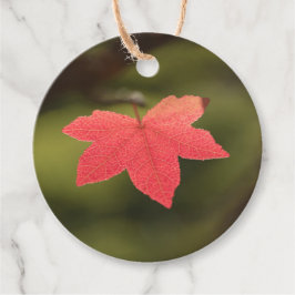 Natuur Red Maple Leaf Foto Bedankjes Labels