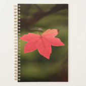 Natuur Red Maple Leaf Foto Planner (Voorkant)