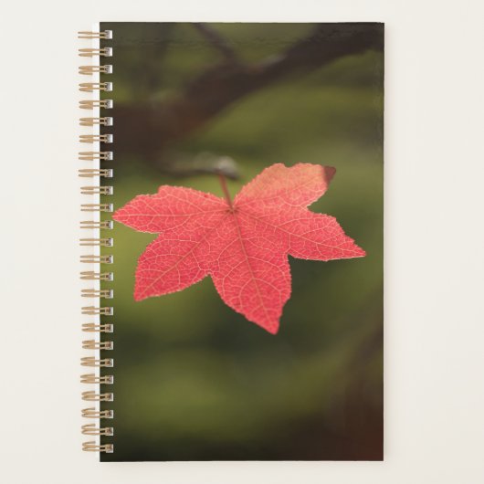 Natuur Red Maple Leaf Foto Planner (Voorkant)