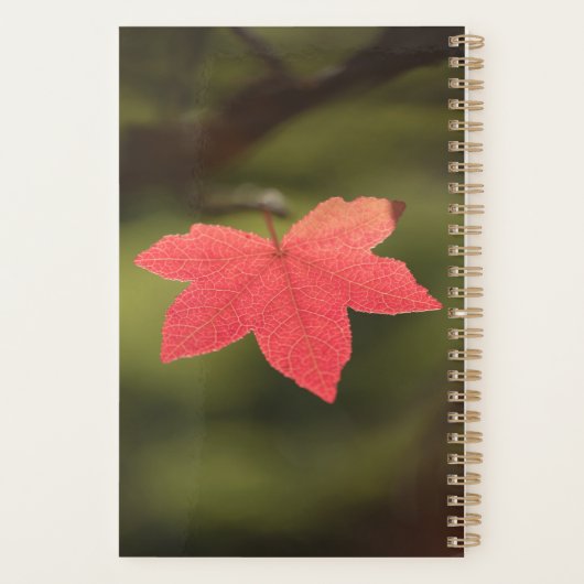 Natuur Red Maple Leaf Foto Planner (Achterkant)
