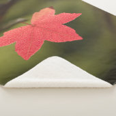 Natuur Red Maple Leaf Foto Sherpa Deken (3/4)