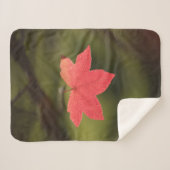 Natuur Red Maple Leaf Foto Sherpa Deken (Voorkant (horizontaal))