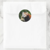 Natuur Red Panda Ronde Sticker (Tas)