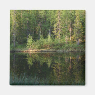 Natuur reflecteert aangepaste magneet