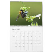 Natuur Reis Kalender (Mar 2026)