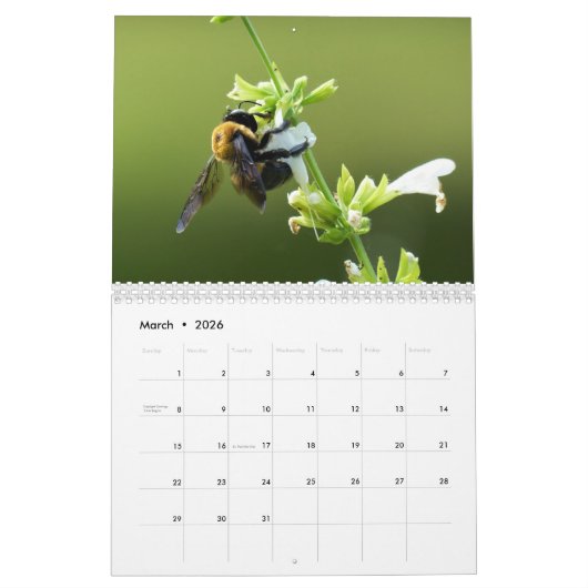 Natuur Reis Kalender (Mar 2026)