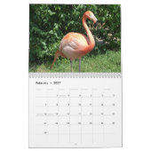 Natuur Reis Kalender (Feb 2027)
